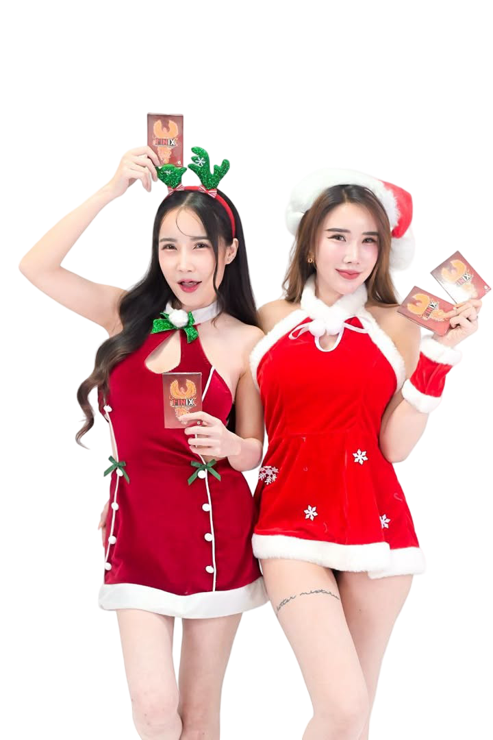 FINIX พรีเซนเตอร์